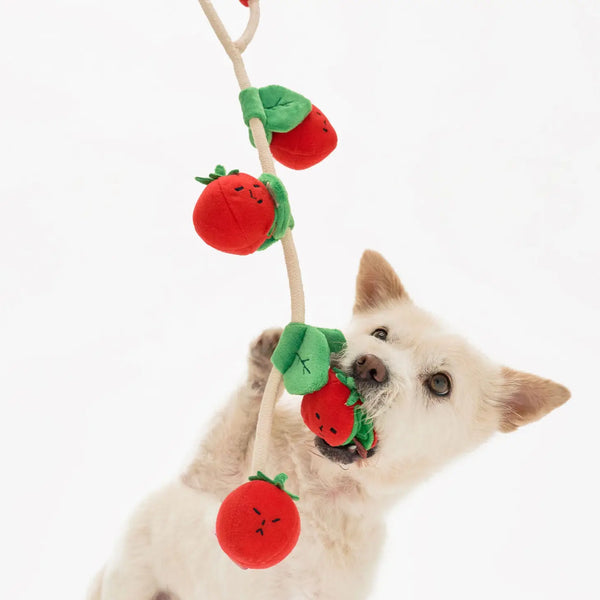The Furryfolks Cherry Tomato Nose Work & Tug Toy