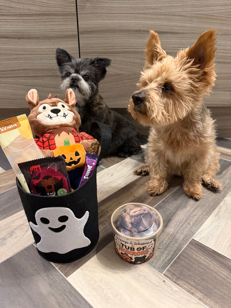 Wags & Whiskers Halloween Dog Boo Basket