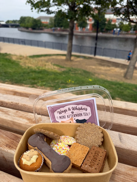 Wags & Whiskers Mini Afternoon Tea Treat Box