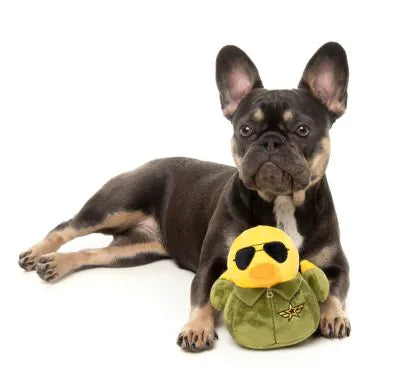 Fuzzyard Goose Duck Dog Toy