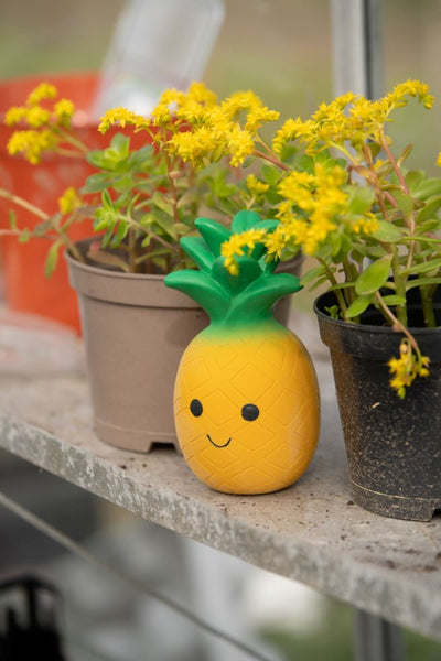 PetFace Foodie Faces - Pineapple Toy