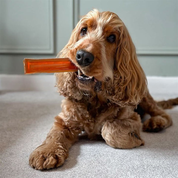 Brothies Beef Bone Broth Dog Chew