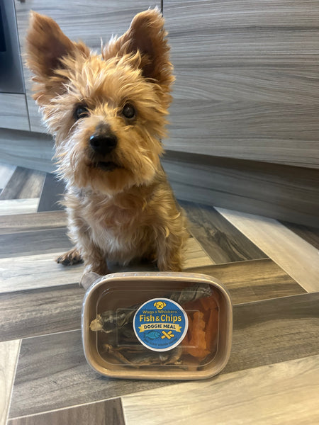 Wags & Whiskers Fish & Chips Takeaway Doggie Meal