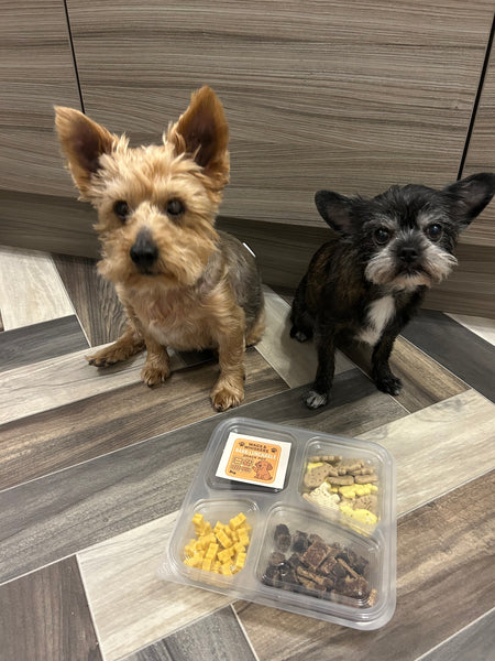 Wags & Whiskers Bark-Lunchable Snack Pot