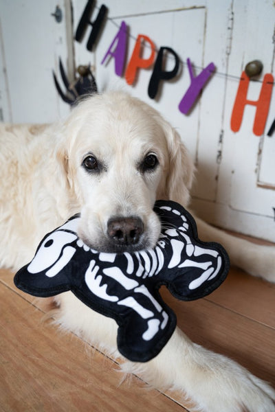 Petface Damien Double Stitched Skeleton Toy