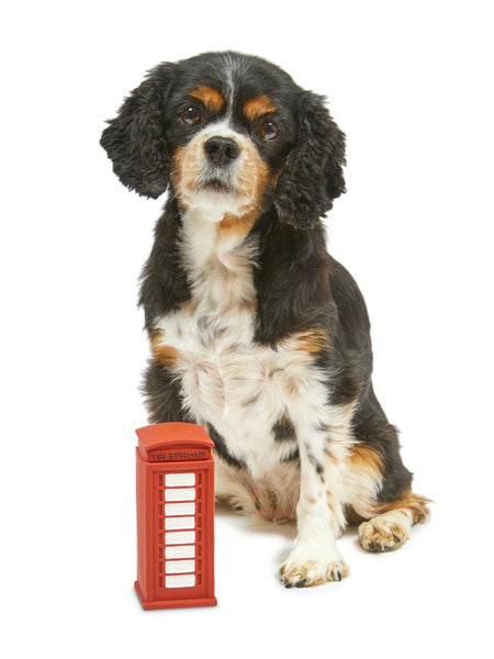 PetFace Toby Telephone Latex Toy
