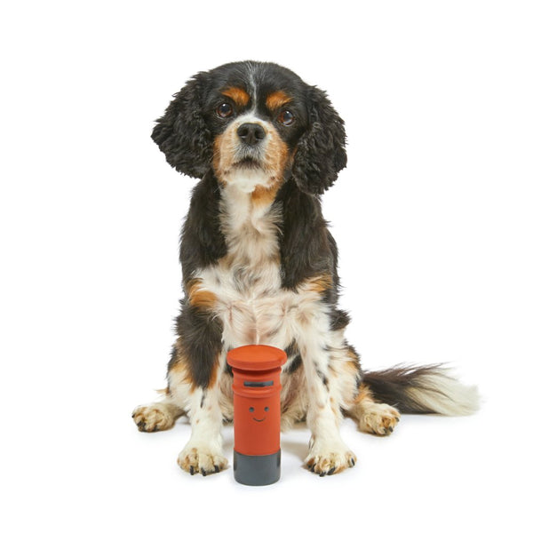 PetFace Percy Post Box Latex Toy