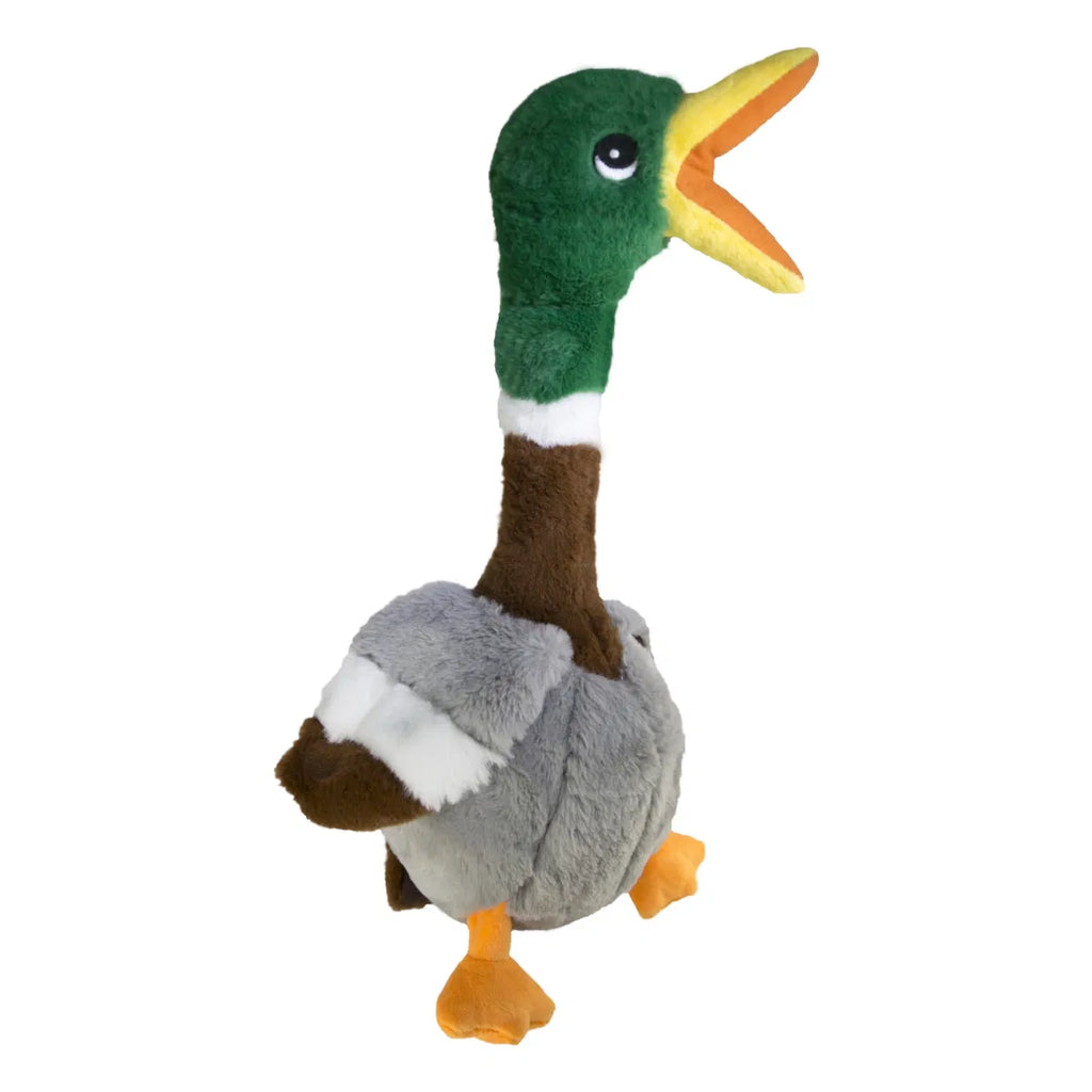 KONG Shakers Honkers Duck Toy (2 Sizes)