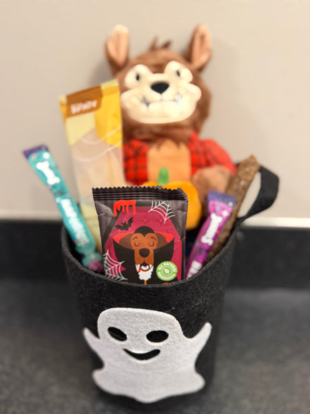 Wags & Whiskers Halloween Dog Boo Basket
