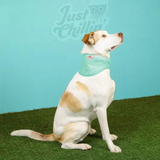Just Chillin' Cooling Bandana (2 Sizes)