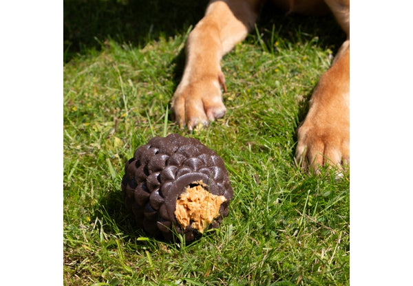 Orva Pine Cone Toy