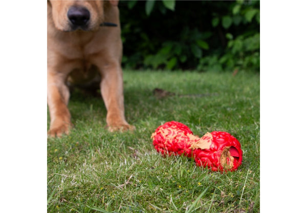 Orva Brain Treat Dumbbell