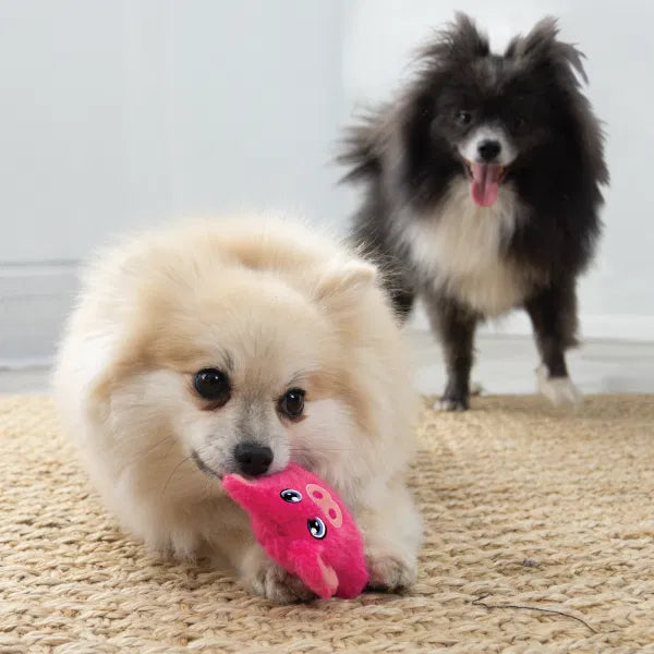 KONG Snuzzles Mini Pig XS Toy