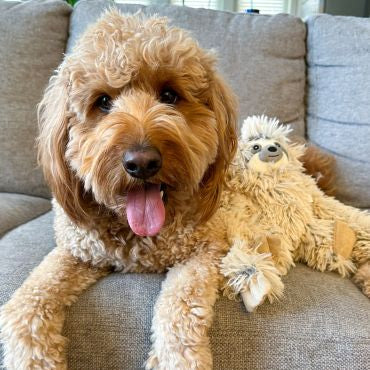 Tall Tails Sloth Rope Body Dog Toy