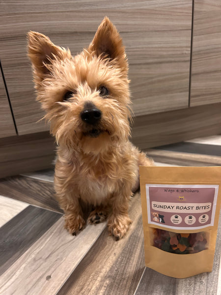 Wags & Whiskers Sunday Roast Bites