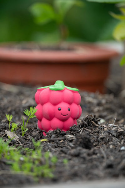 PetFace Foodie Faces - Raspberry Latex Toy