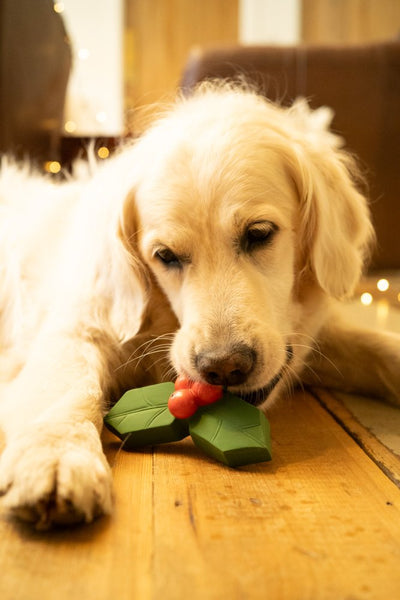 PetFace Holly The Latex Christmas Dog Toy