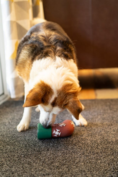 PetFace Stefan Stocking Latex Christmas Dog Toy