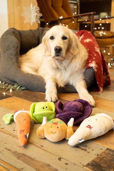 PetFace Peter Parsnip Plush Dog Toy