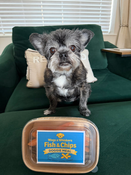 Wags & Whiskers Good Friday Fish & Chips Takeaway Doggie Meal