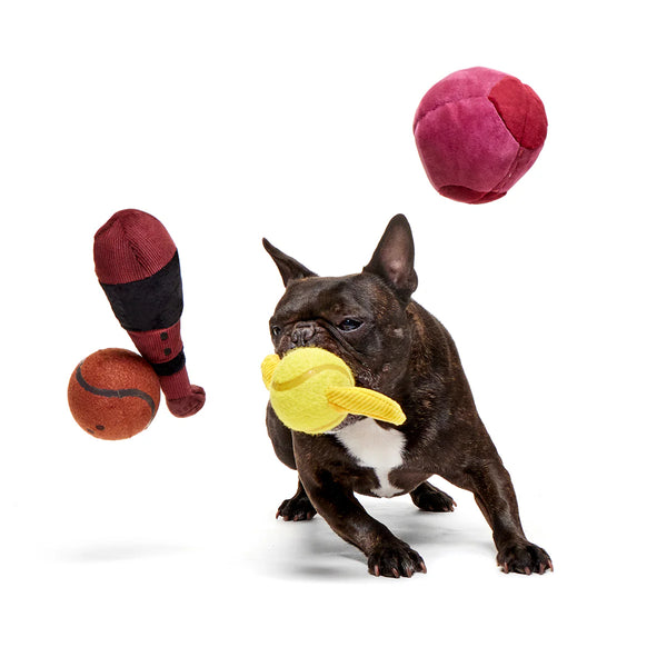 BARK - Quidditch™ Equipment Pack Plush Multi-Part + Fetch Dog Toy