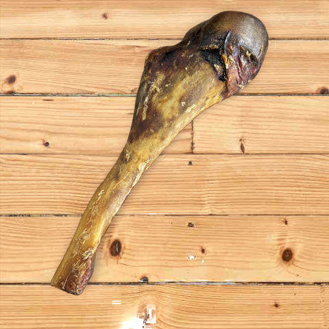 Anco Naturals Ostrich Drumstick