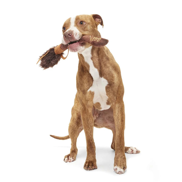 BARK - Nimbus 2000™ Broomstick Plush Fetch Dog Toy