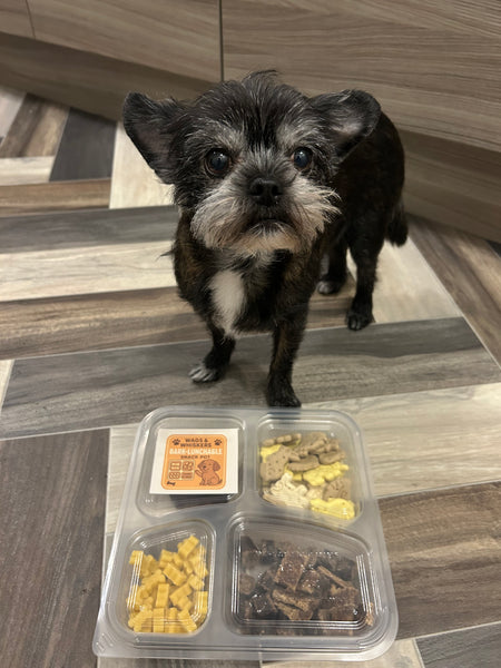 Wags & Whiskers Bark-Lunchable Snack Pot