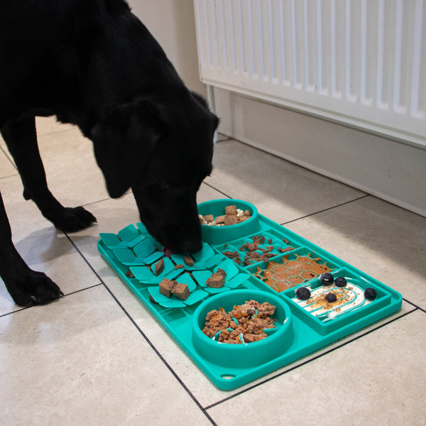 Orva Large Suction Cup Slow Feeder Station