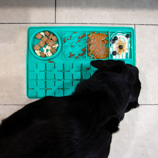 Orva Large Suction Cup Slow Feeder Station