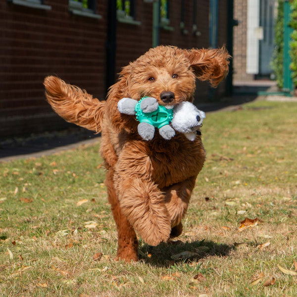 Orva Wolf Ball Belly Toy