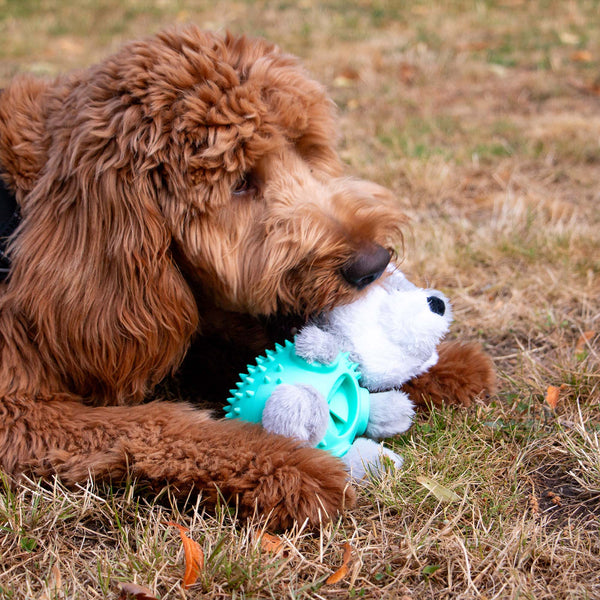 Orva Wolf Ball Belly Toy