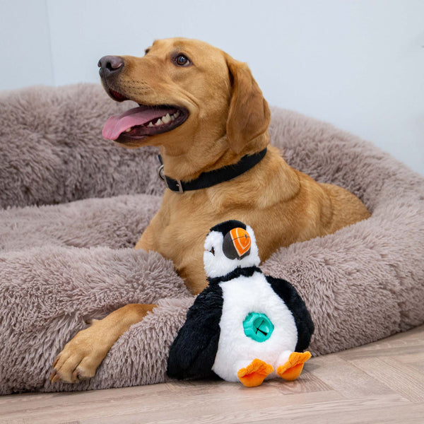 Orva Puffin Treat Tummy Toy