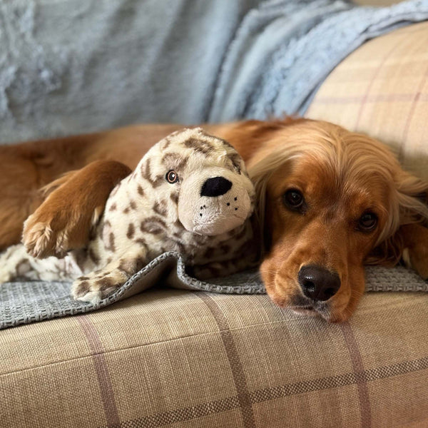 Orva Seal Treat Belly Toy