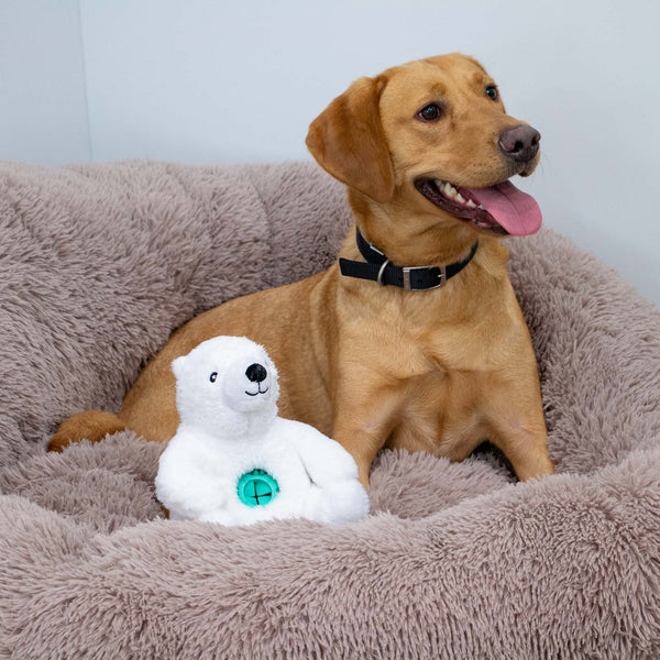 Orva Polar Bear Treat Tummy Toy