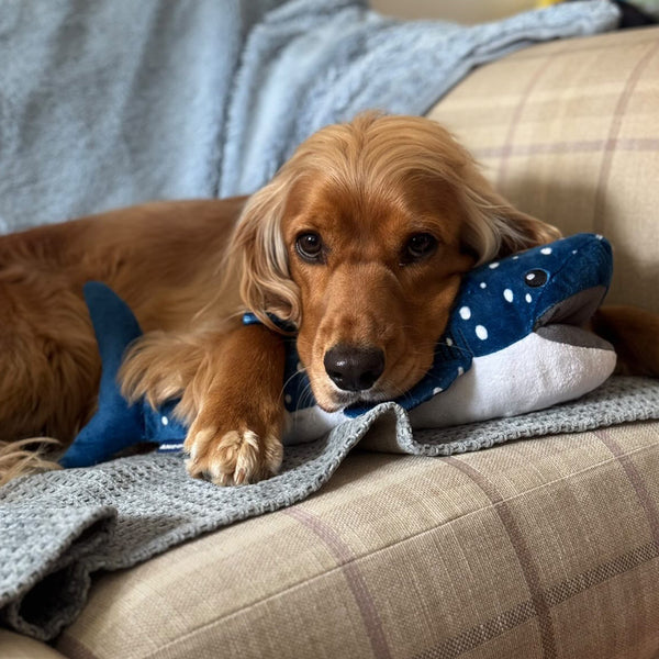 Orva Snuffle Basking Shark Toy