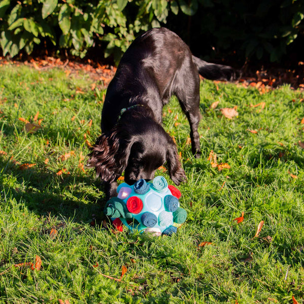 Orva Interactive Snuffle Ball