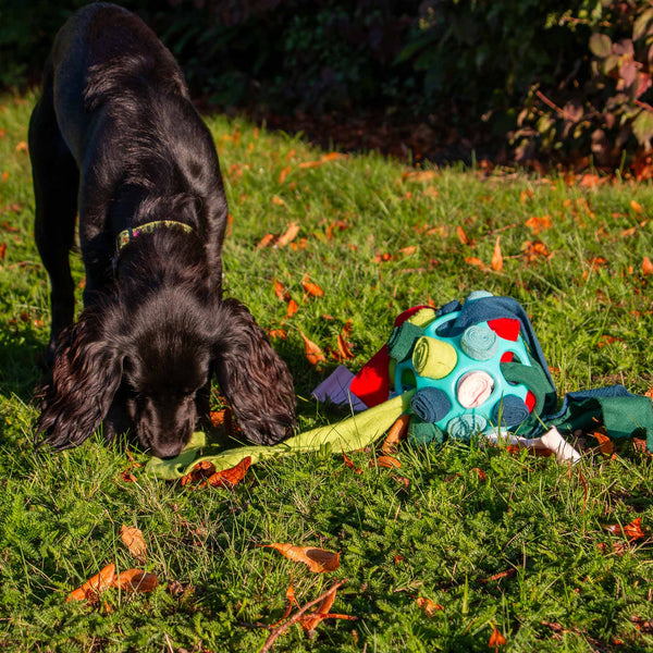 Orva Interactive Snuffle Ball