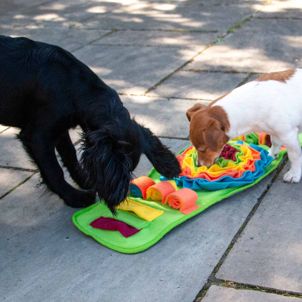 Orva Snuffle Strip Mat