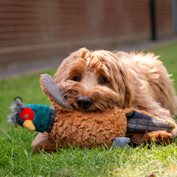 Ancol Heritage Phoebe Pheasent Plush Toy