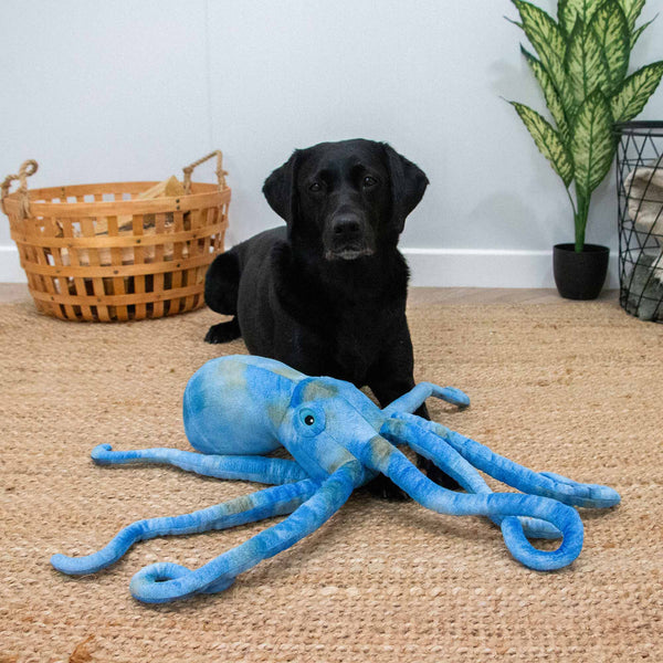 Ancol Cuddle Phil the Kraken Toy