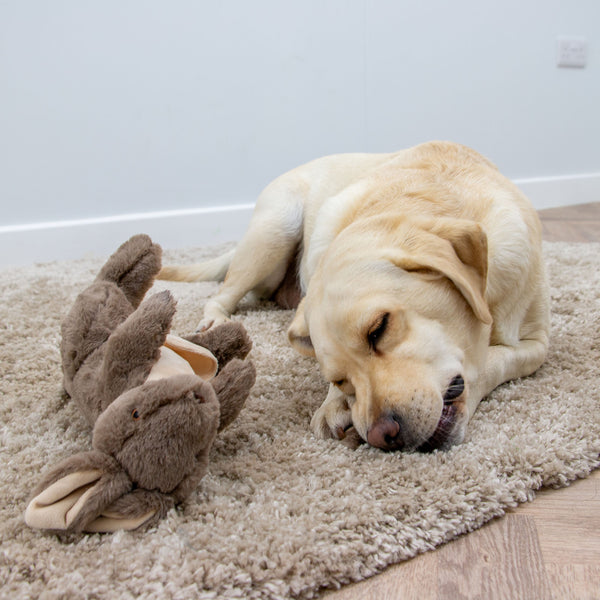 Ancol Cuddle Kangaroo & Joey Toy