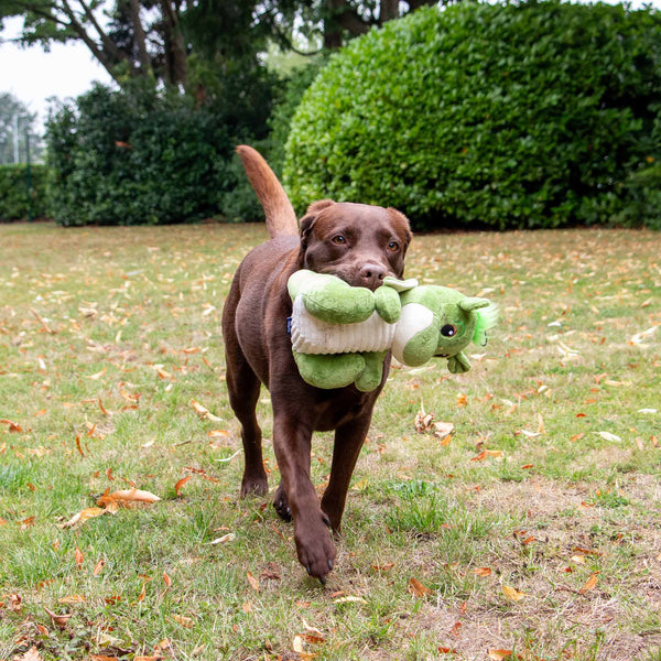 Cuddle Sprout the Dragon Toy
