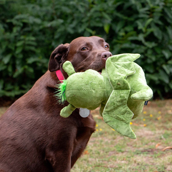 Cuddle Sprout the Dragon Toy