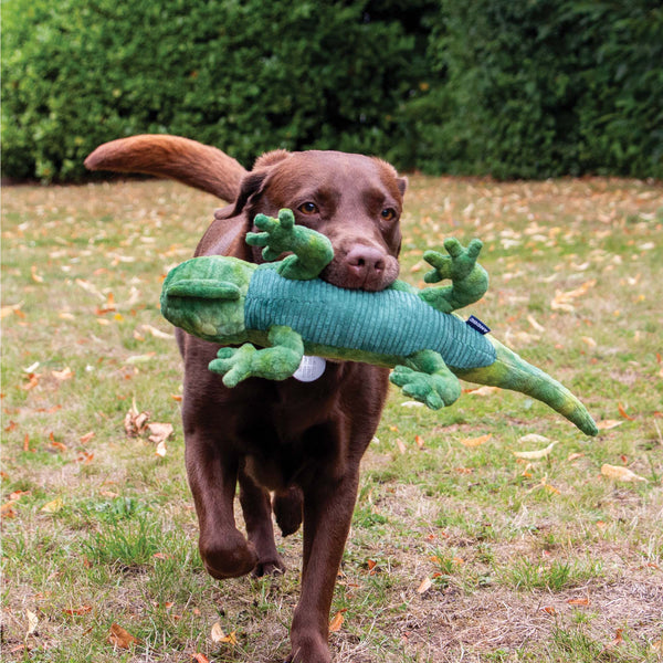 Ancol Cuddle Lizard Toy