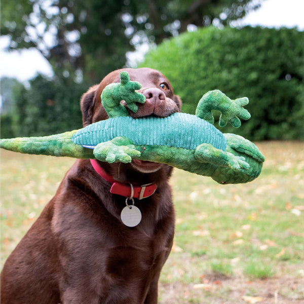 Ancol Cuddle Lizard Toy