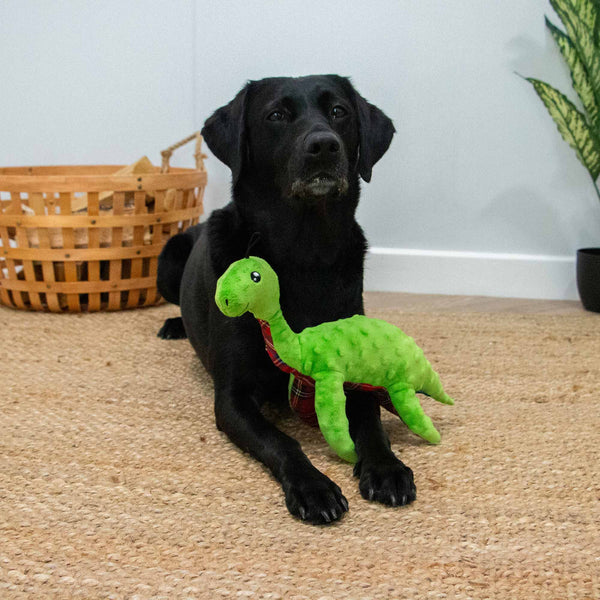 Ancol Lottie Loch Ness Monster Toy