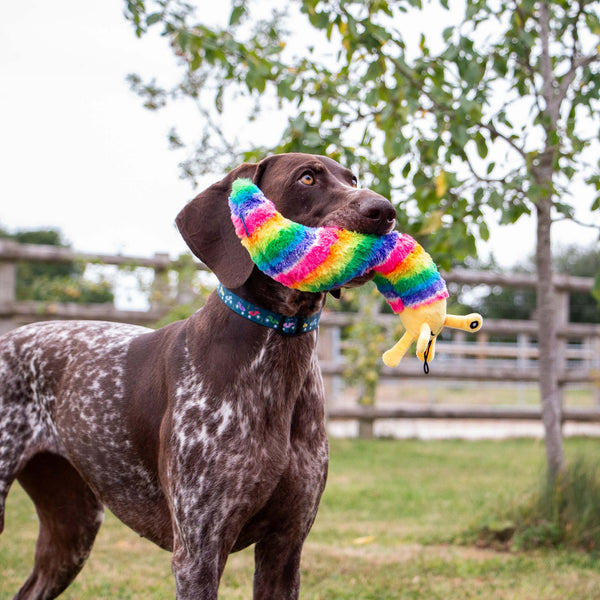 Ancol Cuddle Psychedelic Slug Toy