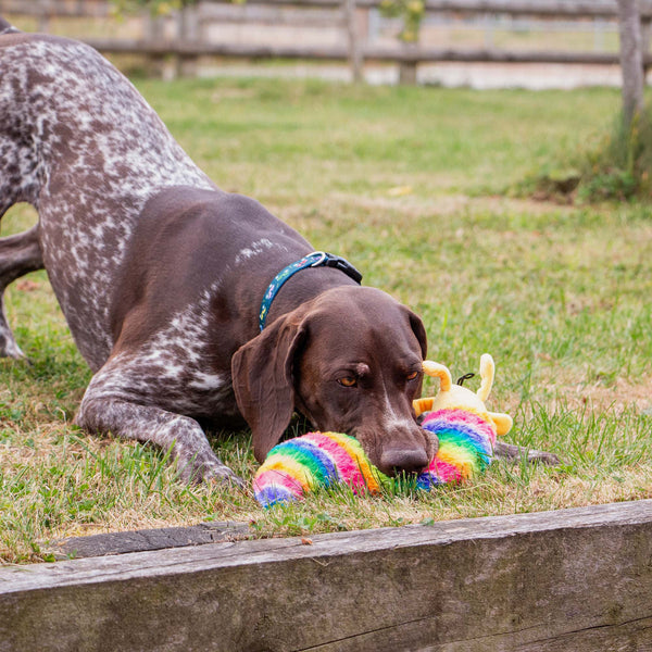 Ancol Cuddle Psychedelic Slug Toy