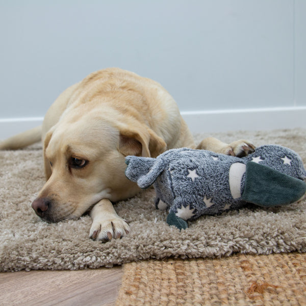 Ancol Cuddle Glow in the Dark Owl Toy